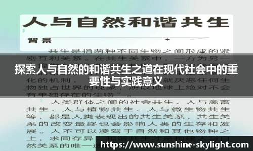 易游体育官方网站