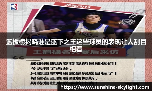 篮板榜揭晓谁是篮下之王这些球员的表现让人刮目相看