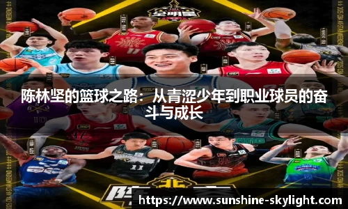 易游体育官方网站