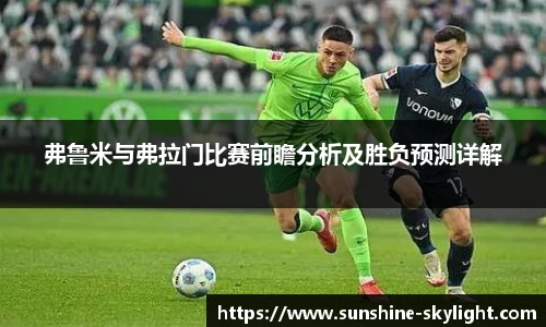 弗鲁米与弗拉门比赛前瞻分析及胜负预测详解